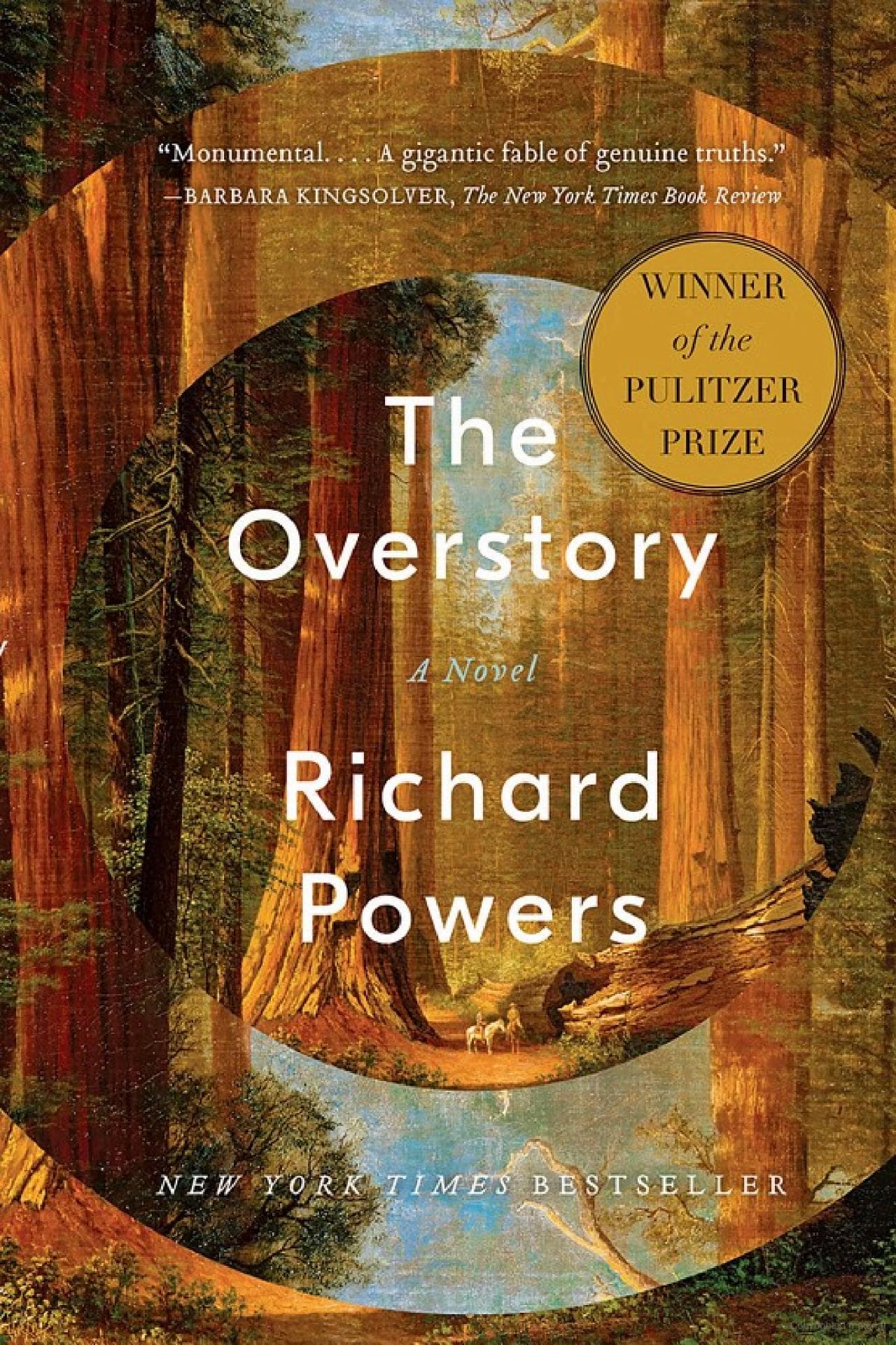 Book cover for theOverstory